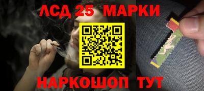 крисы Кулебаки
