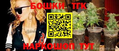 крисы Кулебаки