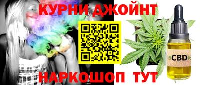 крисы Кулебаки