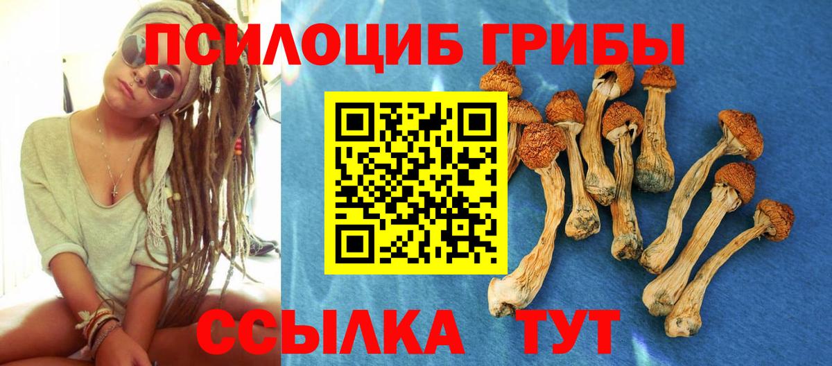 Галлюциногенные грибы ЛСД Домодедово